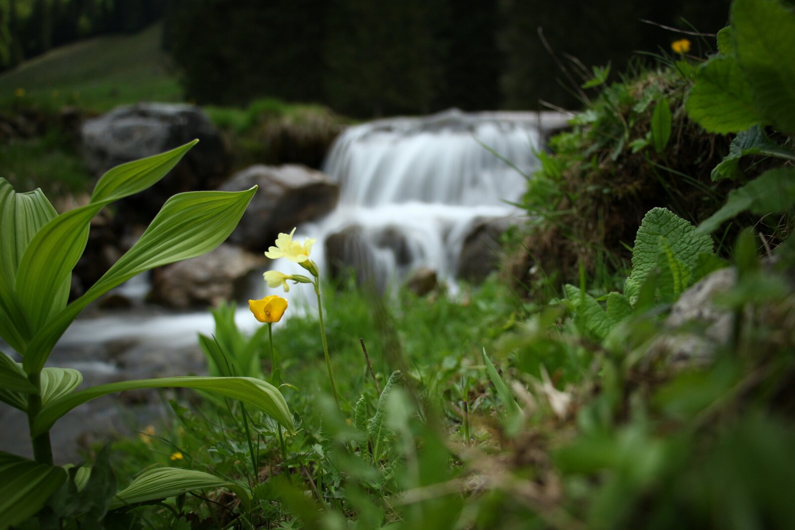 20210602122054_IMG_7502.JPG