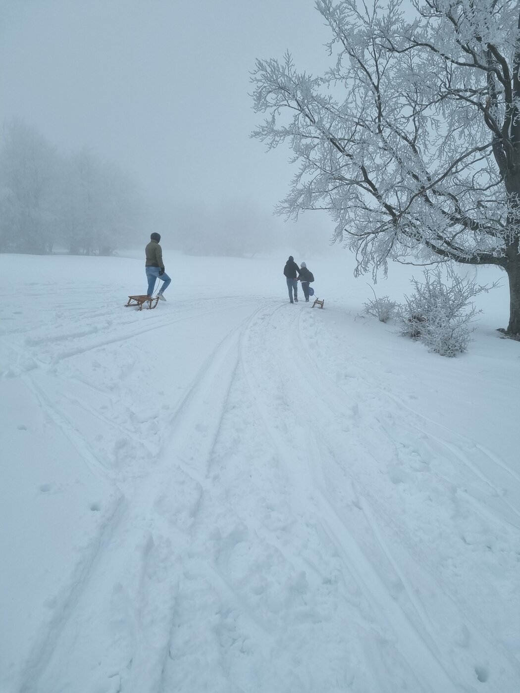 20220116_123114.jpg