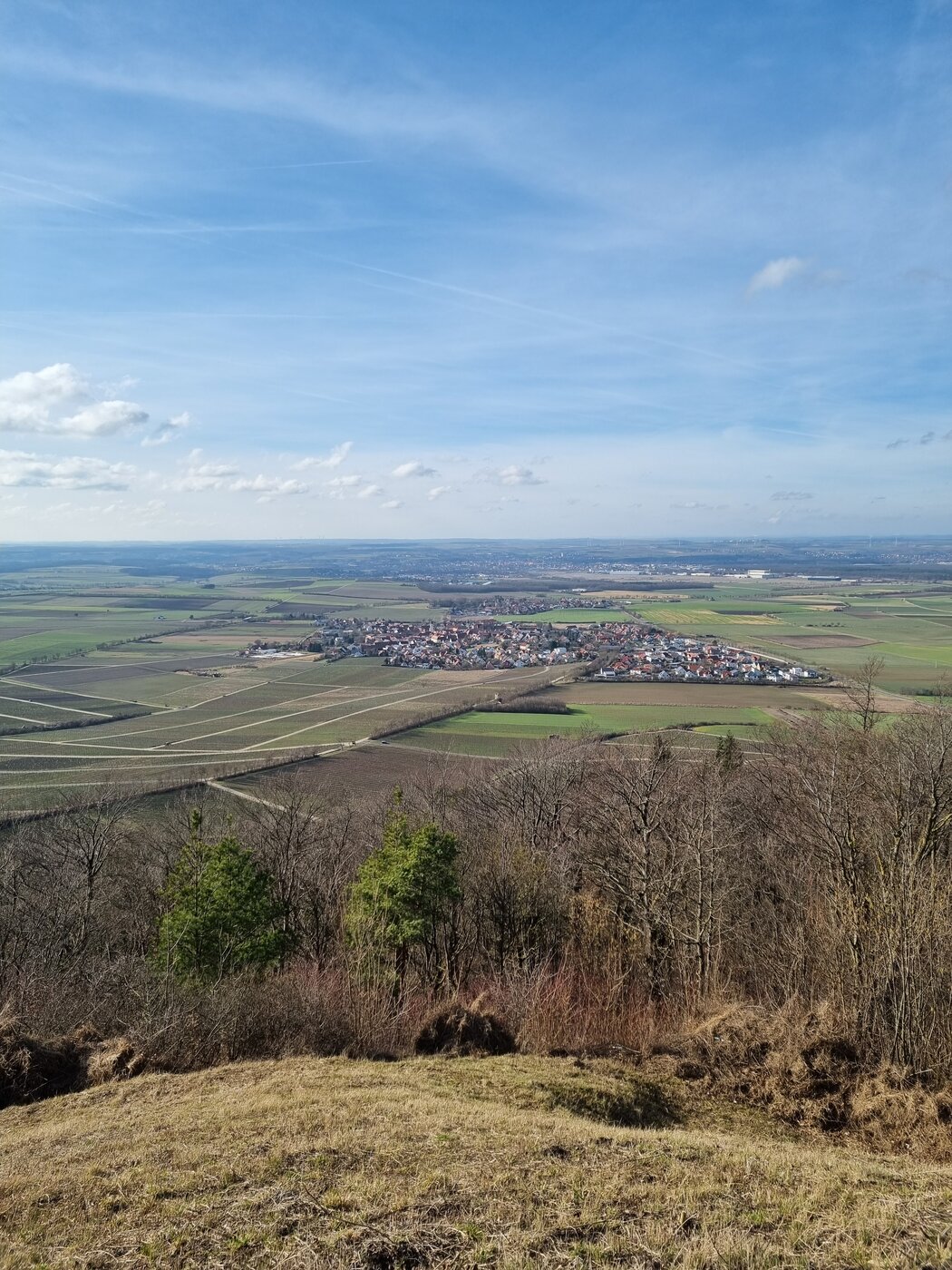 20220212_135810.jpg