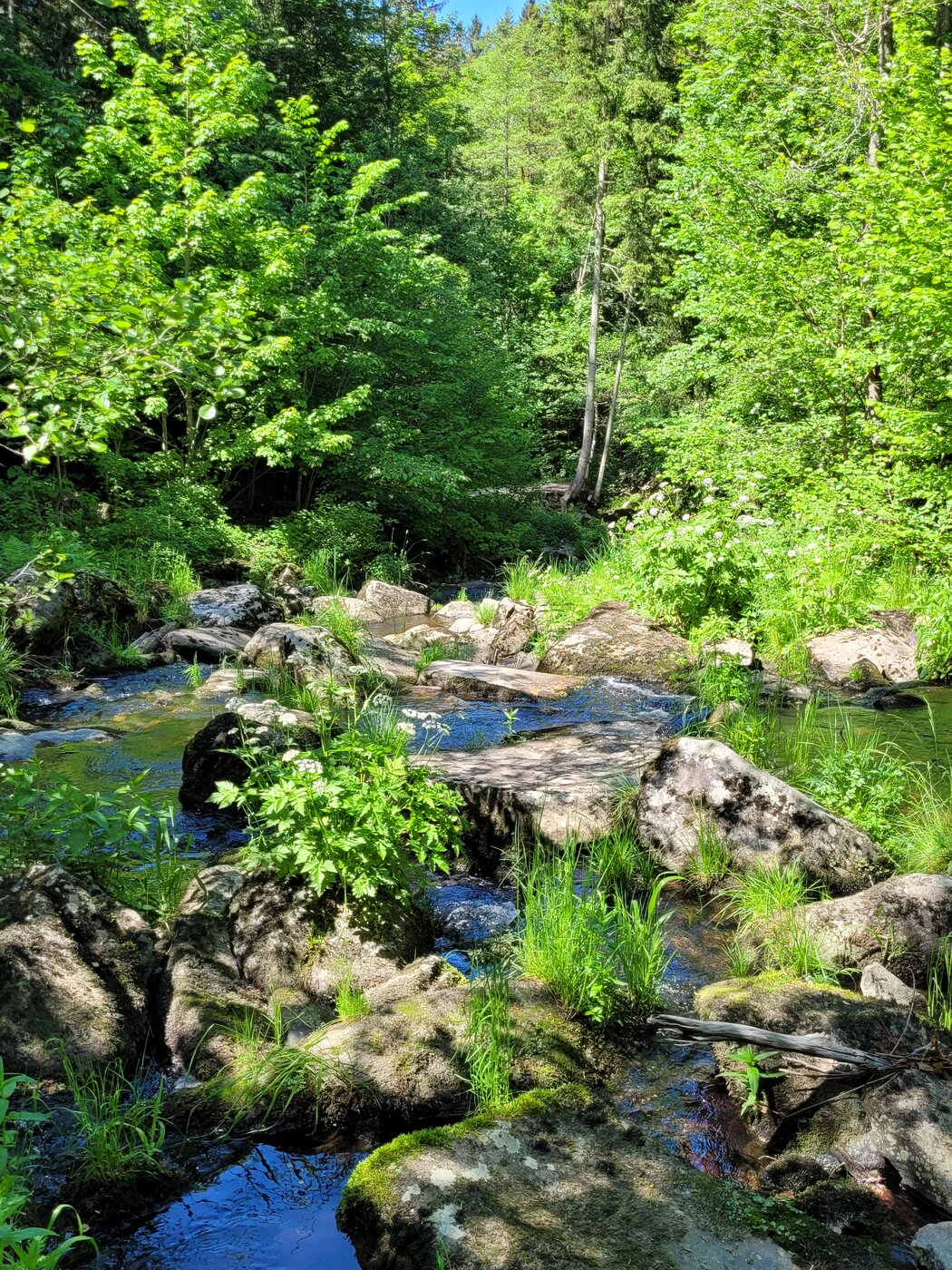 20220522_150853.jpg