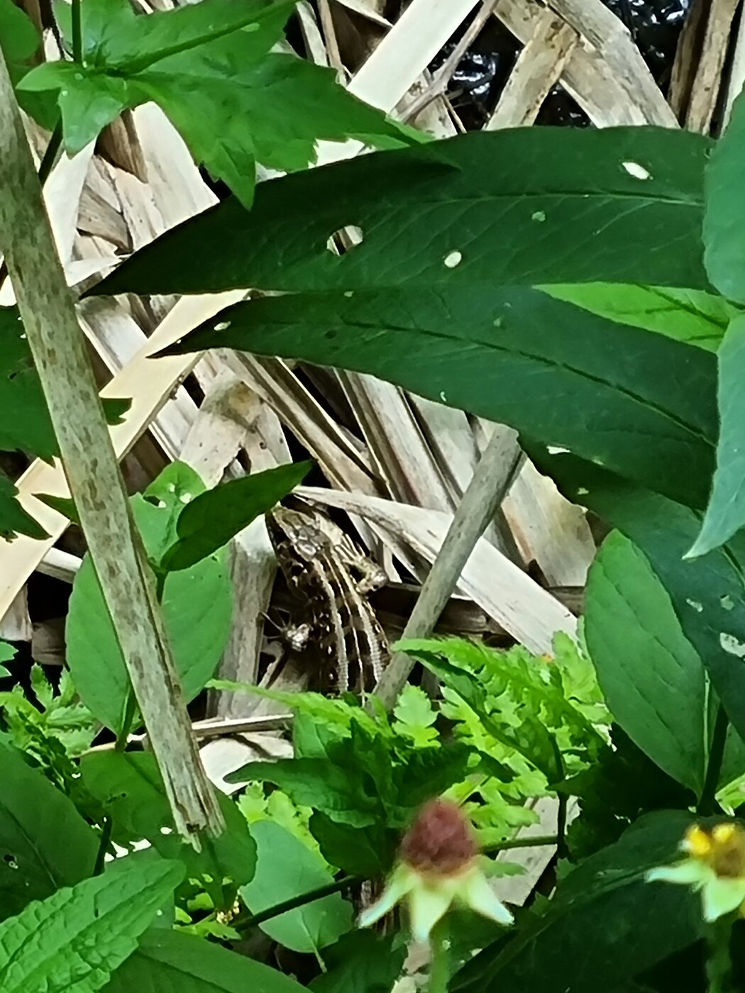 20220601_143553.jpg