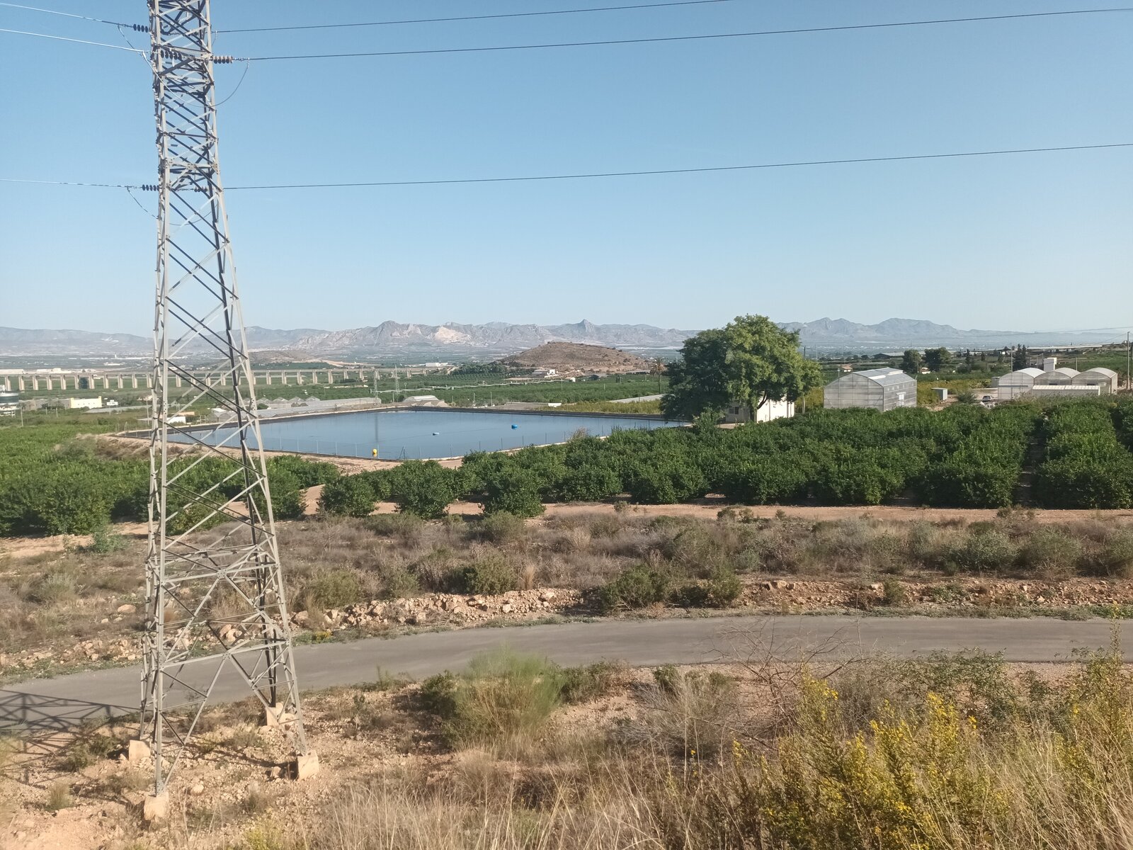20221015_110242.jpg