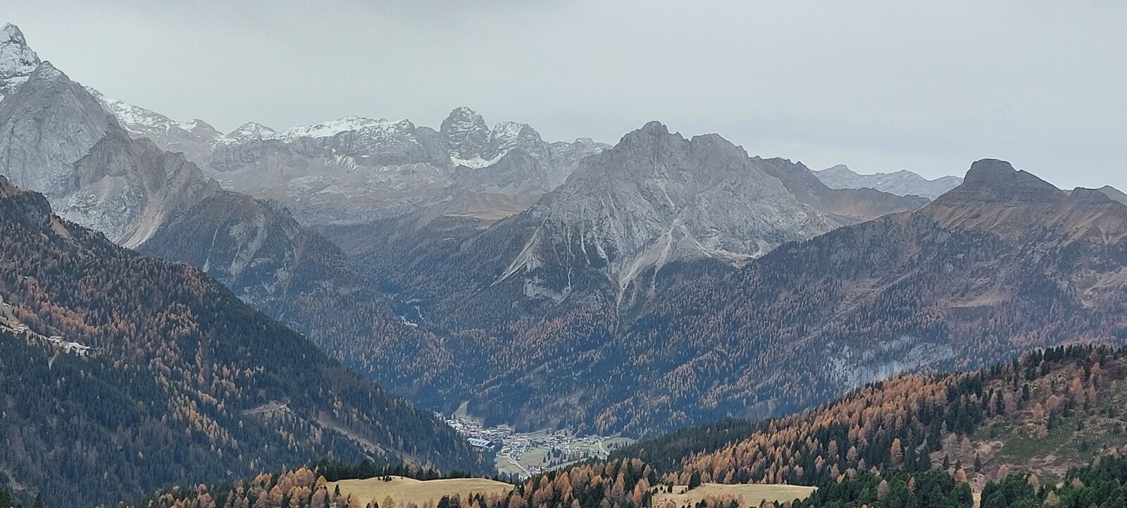 20221101_123751.jpg