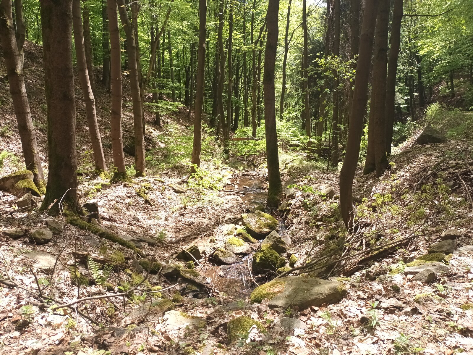 20230518_133447.jpg