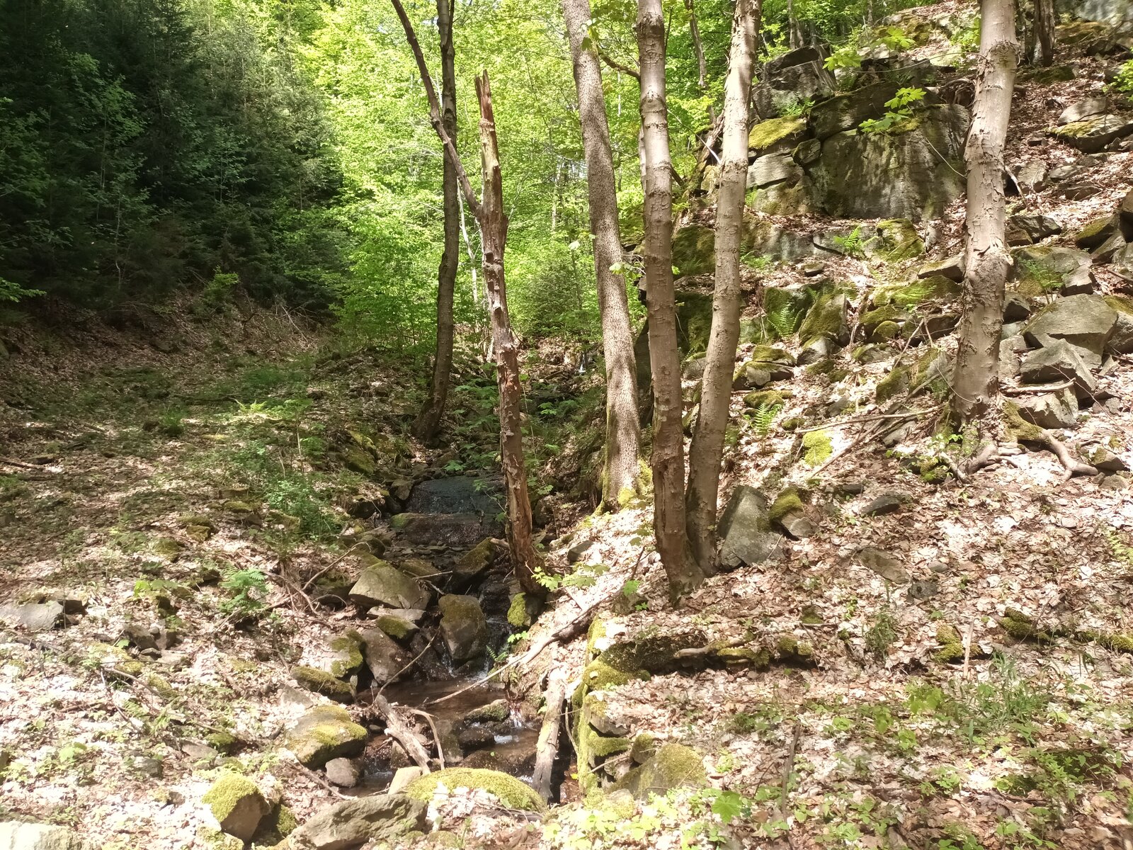 20230518_133457.jpg