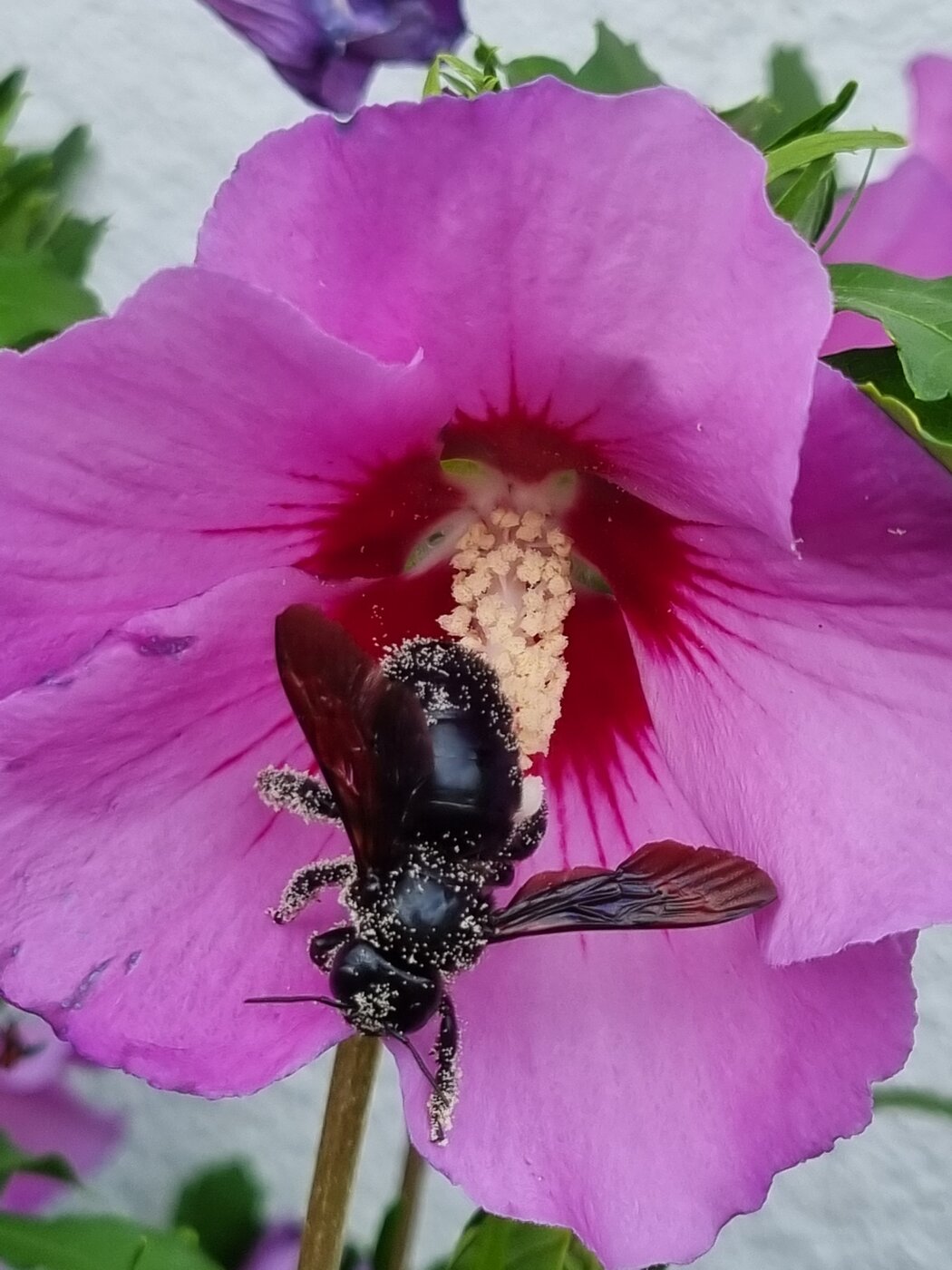 20230803_141411.jpg