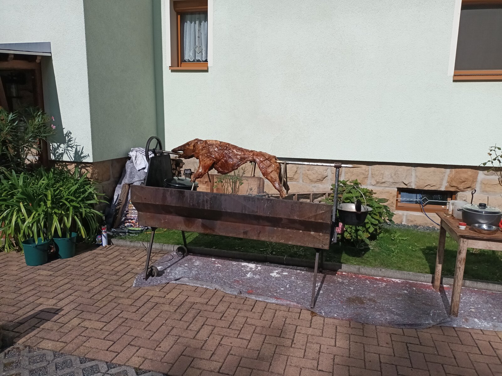 20230930_121136.jpg
