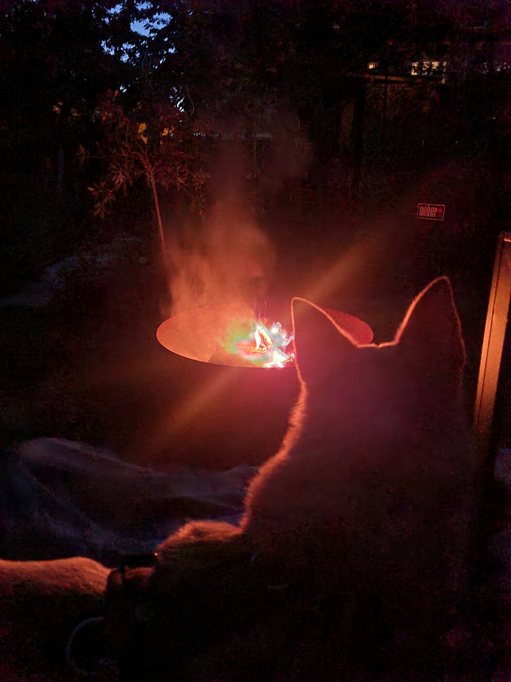 20240430_213242.jpg