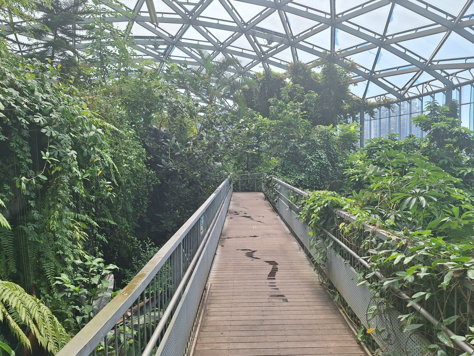 20240619_093456.jpg