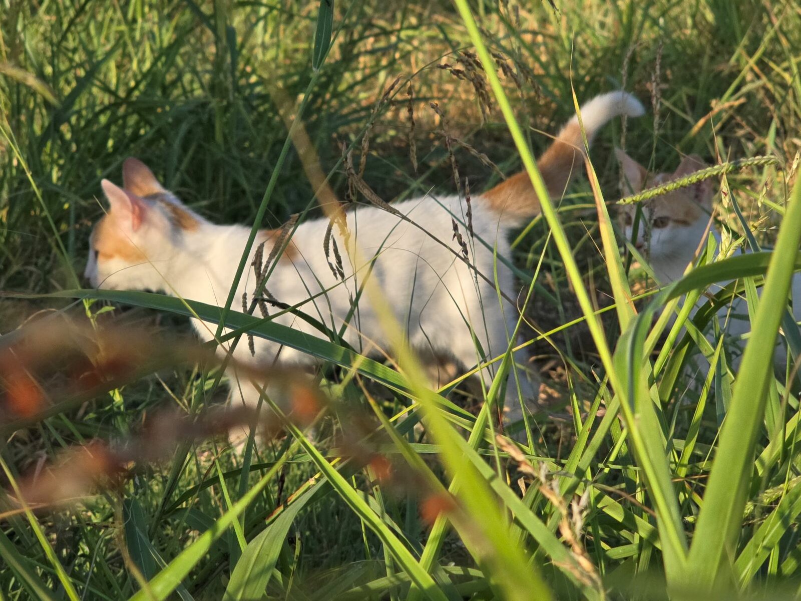 20240825_080118.jpg