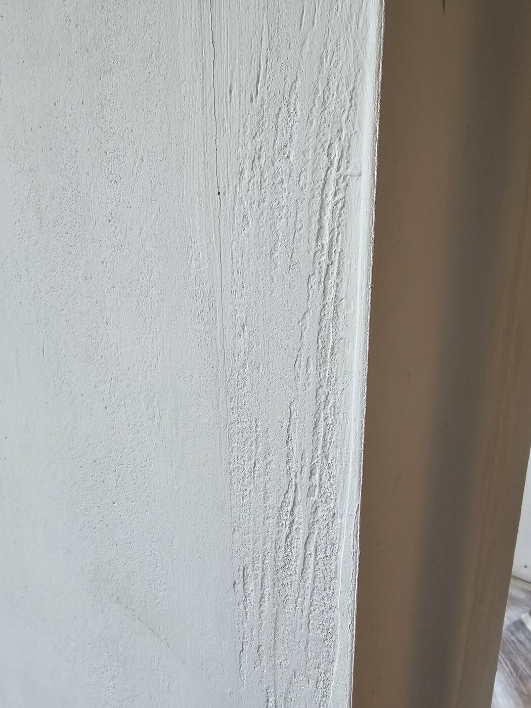 20241108_111605.jpg