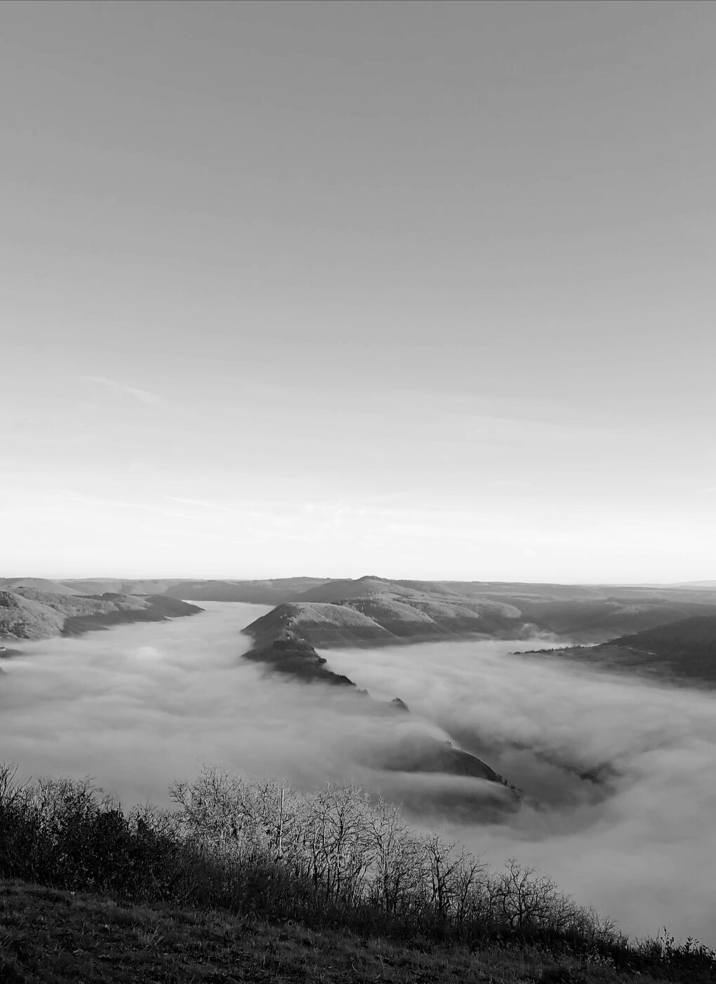 20241130_205825.jpg