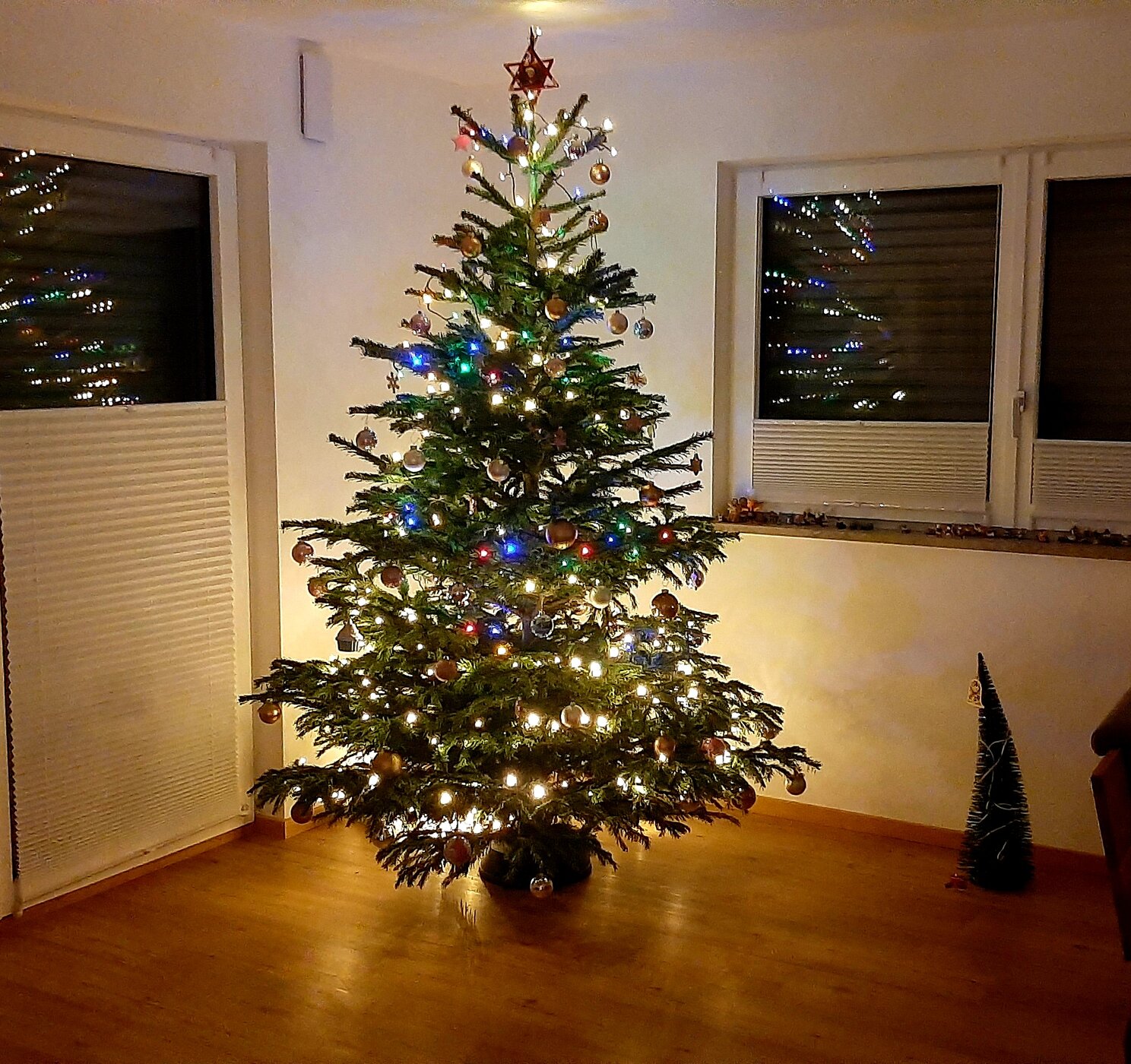 20241224_125556.jpg