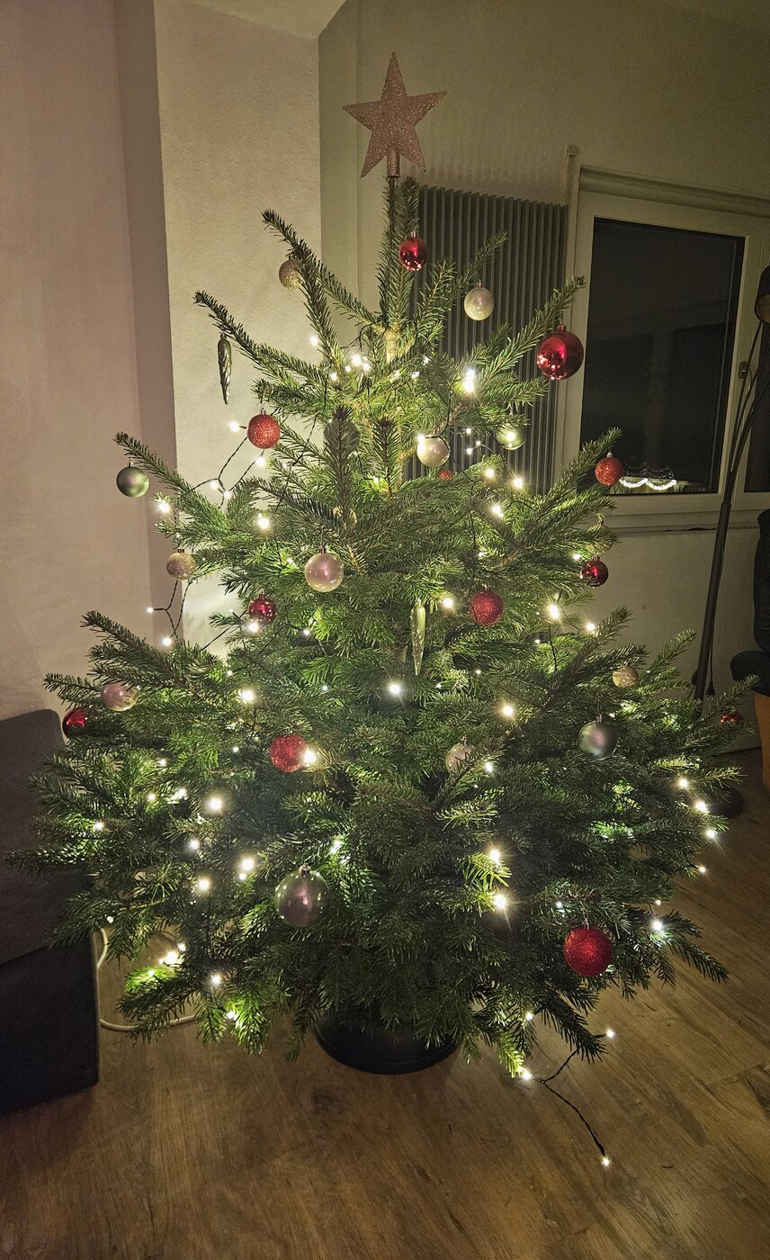 20241224_225108.jpg