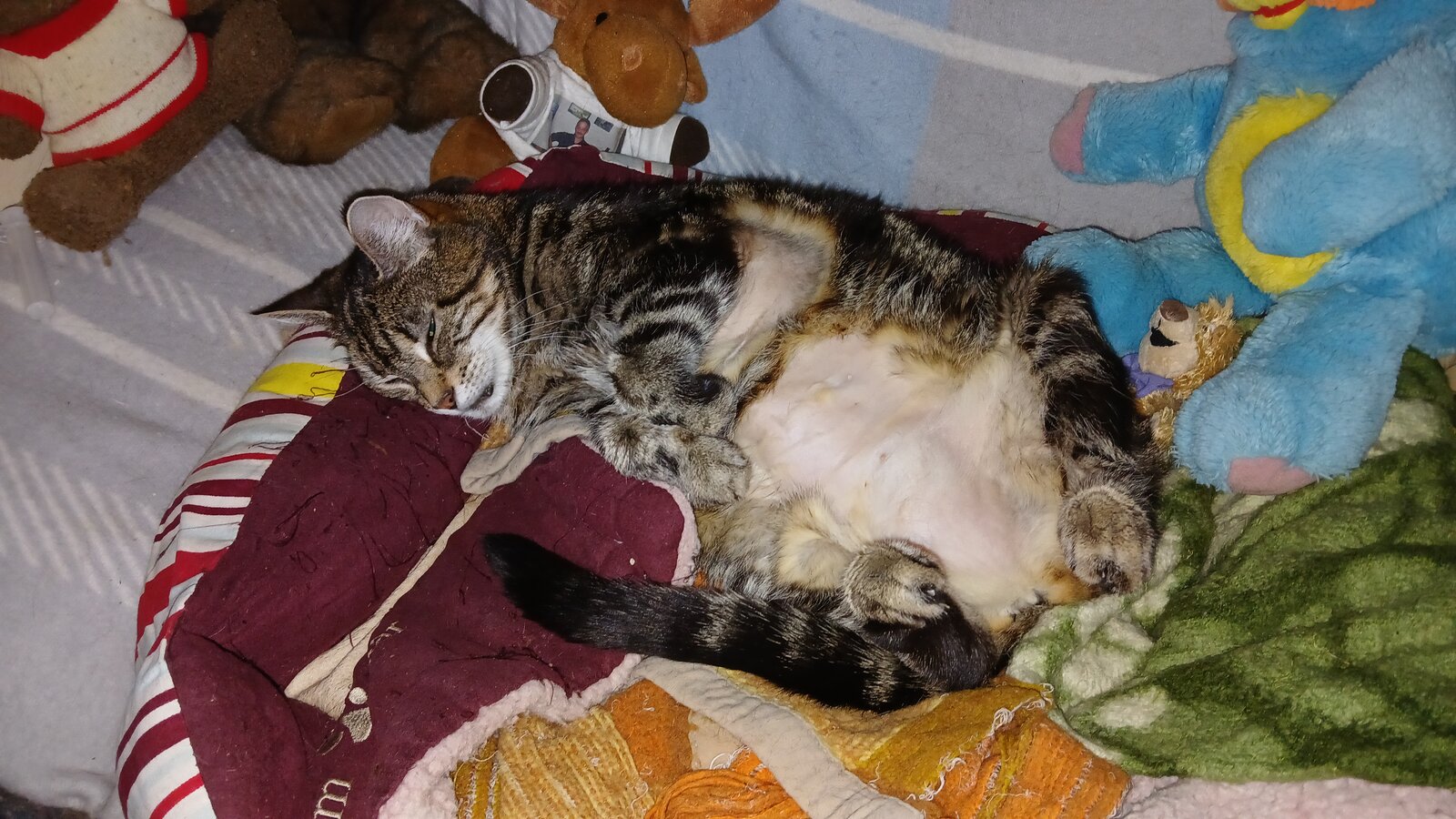 20250419_120850.jpeg