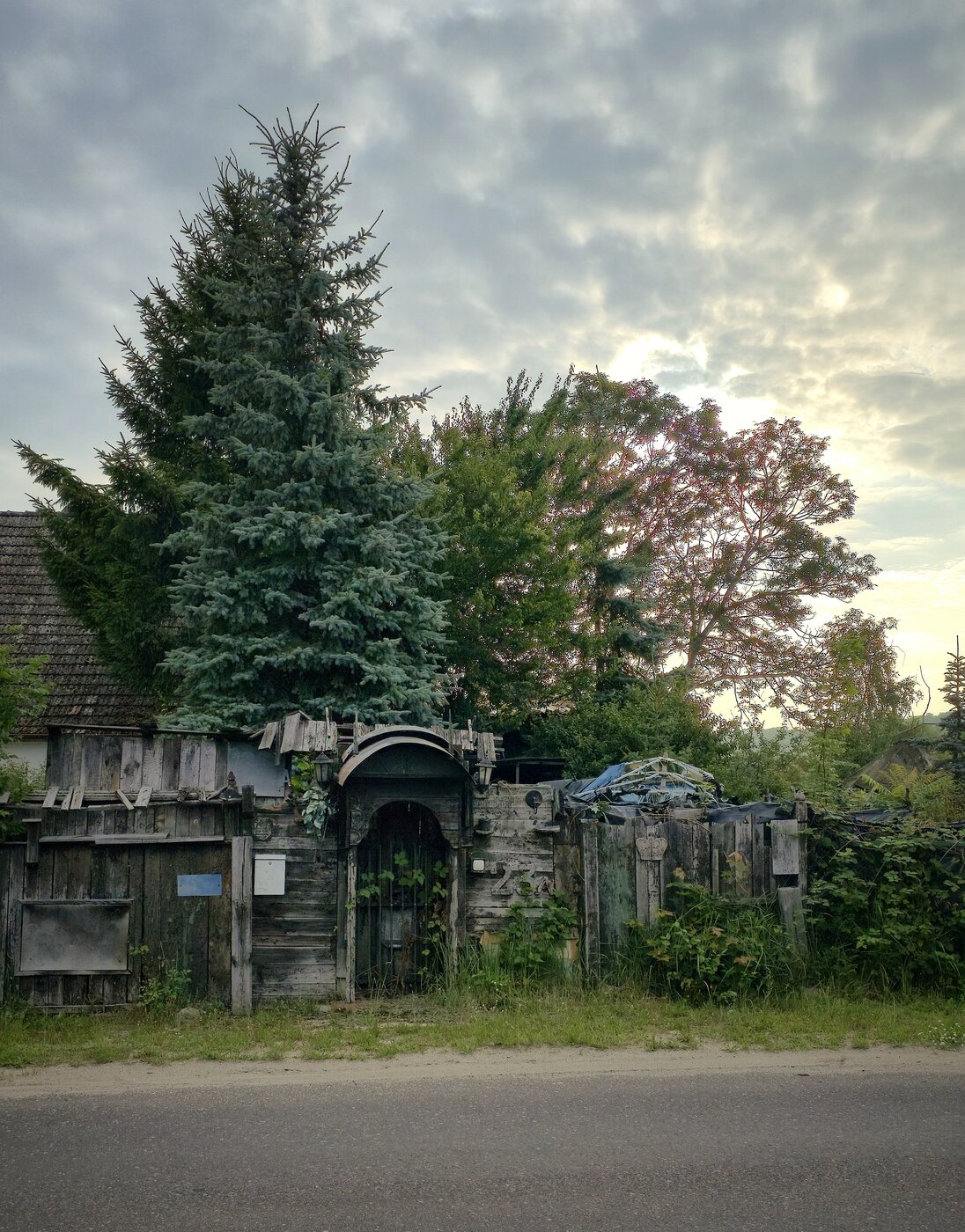 20250727_070040.jpg