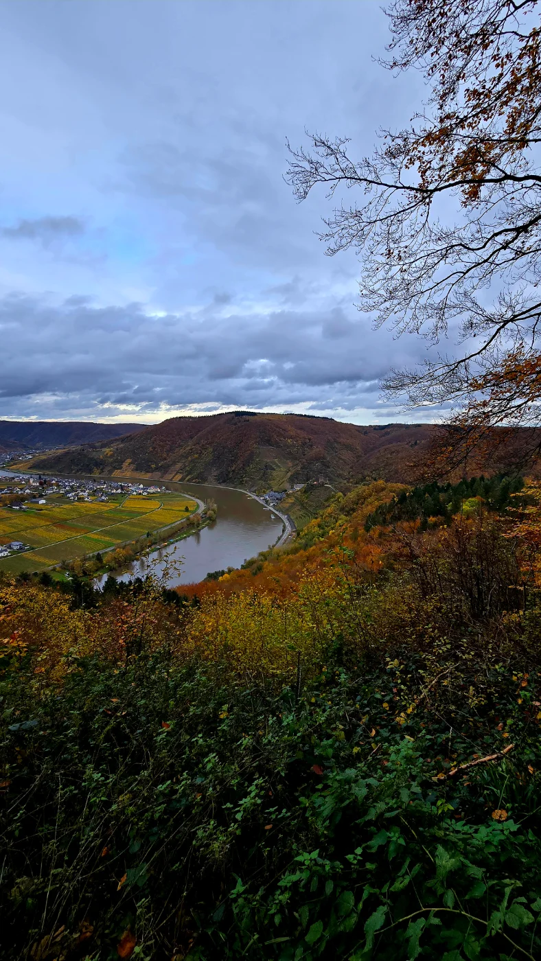 20251102_154625.webp