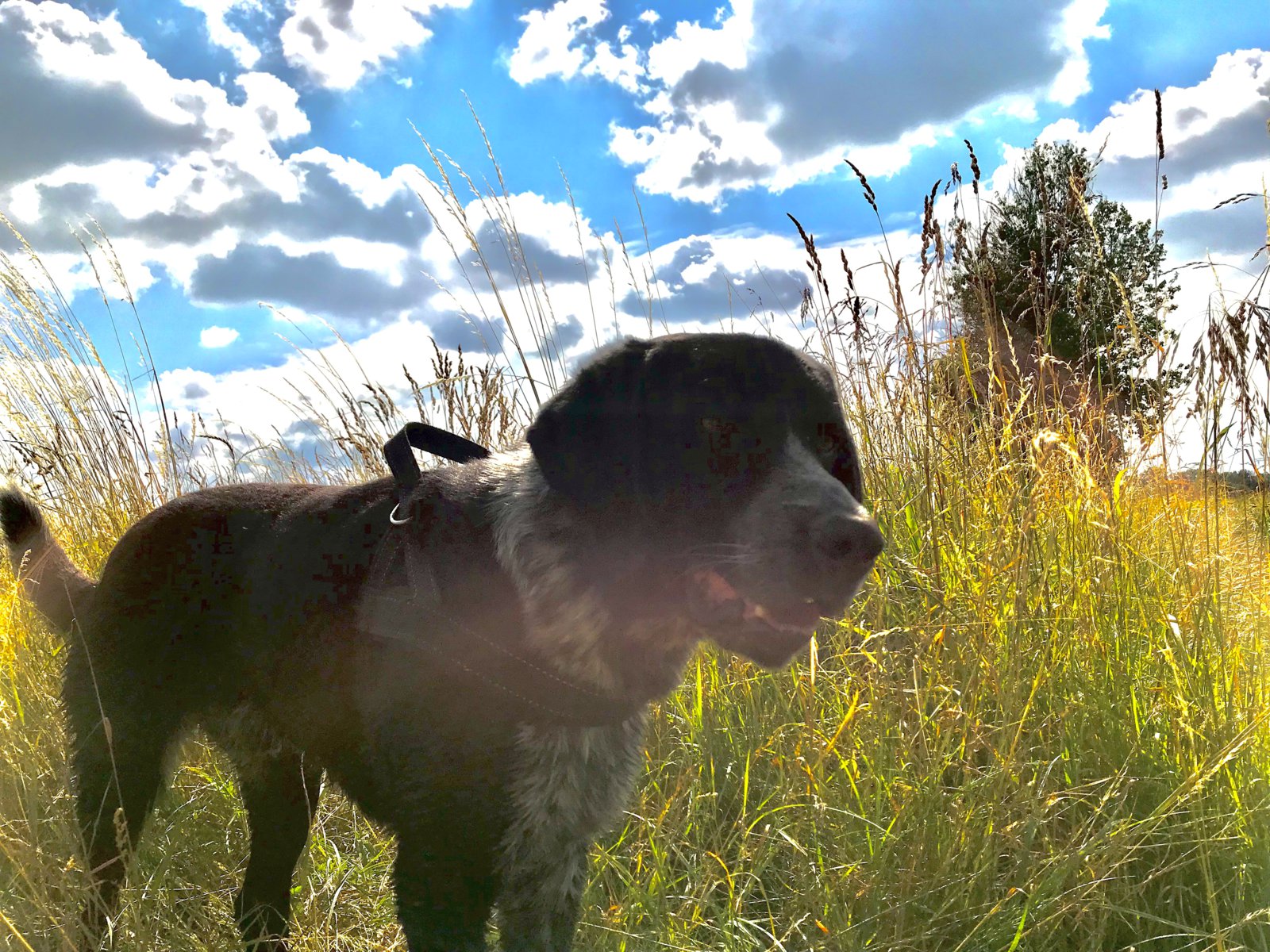 23270FA5-D779-4A3D-881B-3D3C4E374772.jpeg