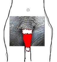 238.png