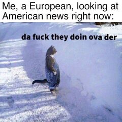 240px-Cat_Standing_in_the_Snow_meme_1.jpg