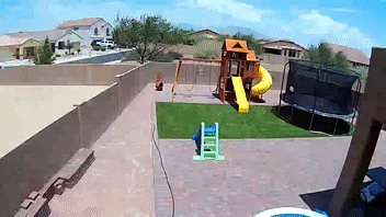 257C172D-7463-4860-80B8-E516C39957A2.gif