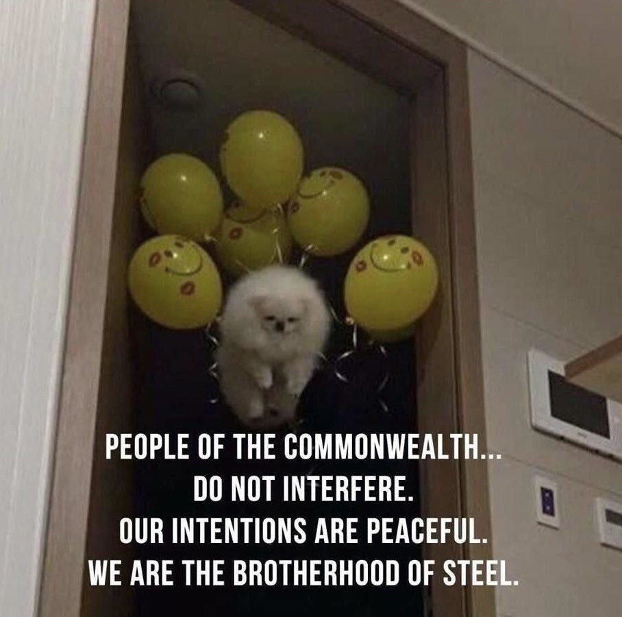 26EC8F94-E139-4D4E-8448-54ED19253881.jpeg