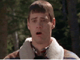 279491001475228072.gif
