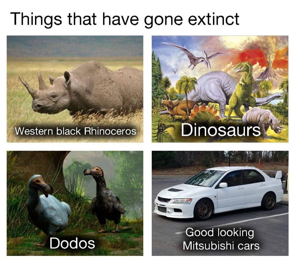 29542812_1819571824740502_3384479768786239488_n.jpg