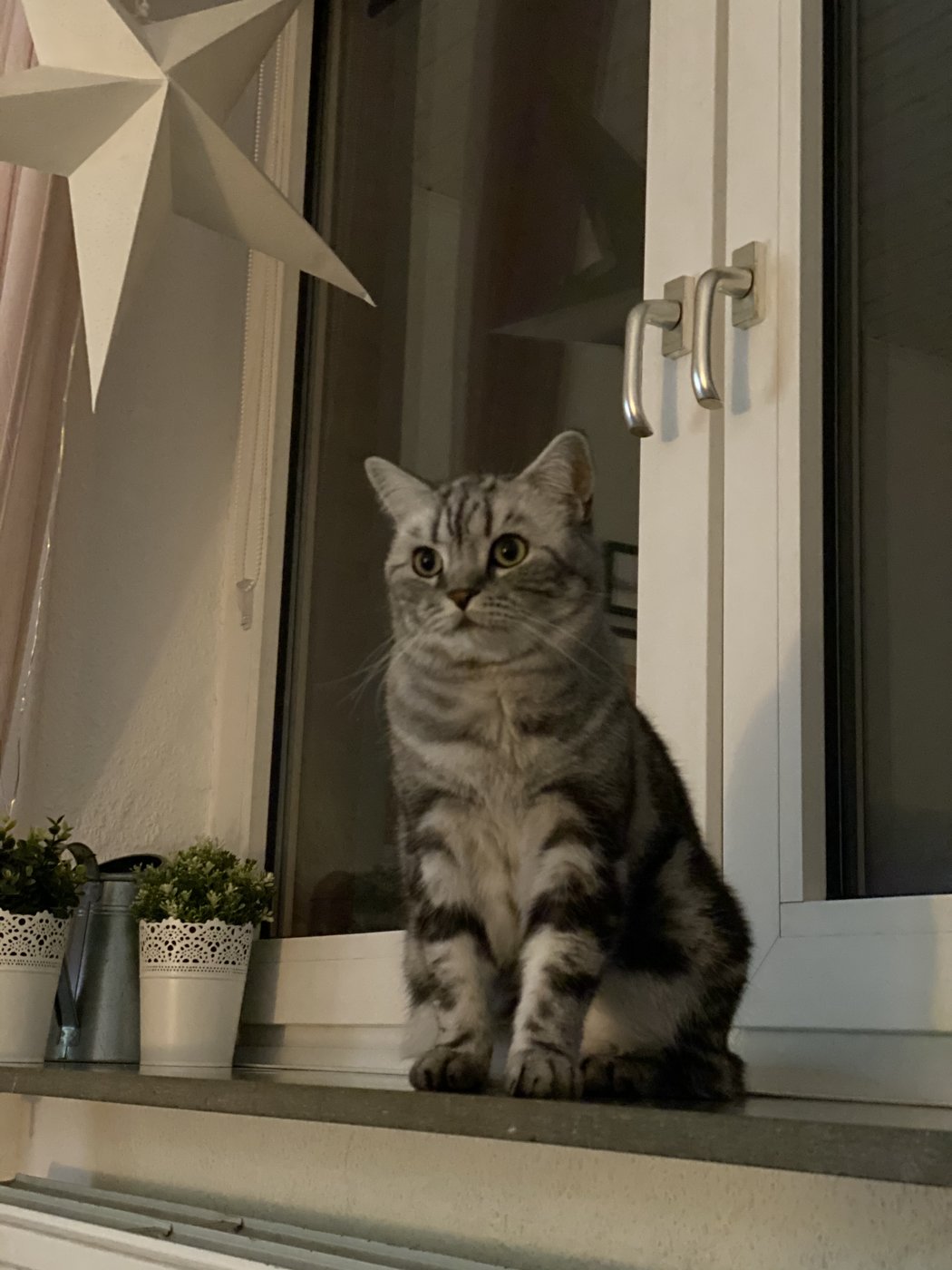 29EFE385-804F-4AE0-8D39-E9643F1E0989.jpeg