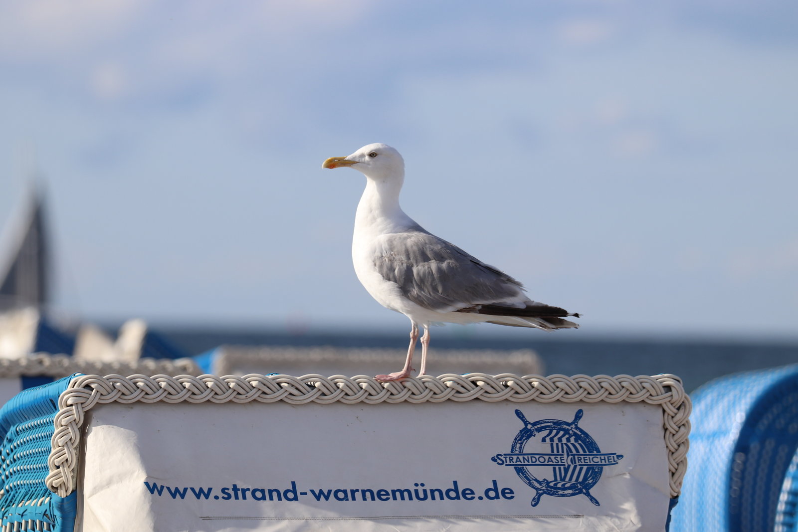 29FA22BF-1AED-46C0-BB10-EF227DBA2E8E.jpeg