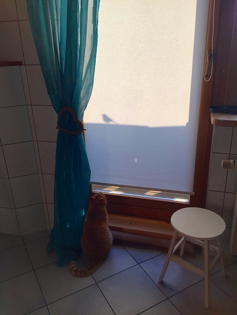2B35FCF0-1327-426D-B37C-C2C59D92DF43.jpeg