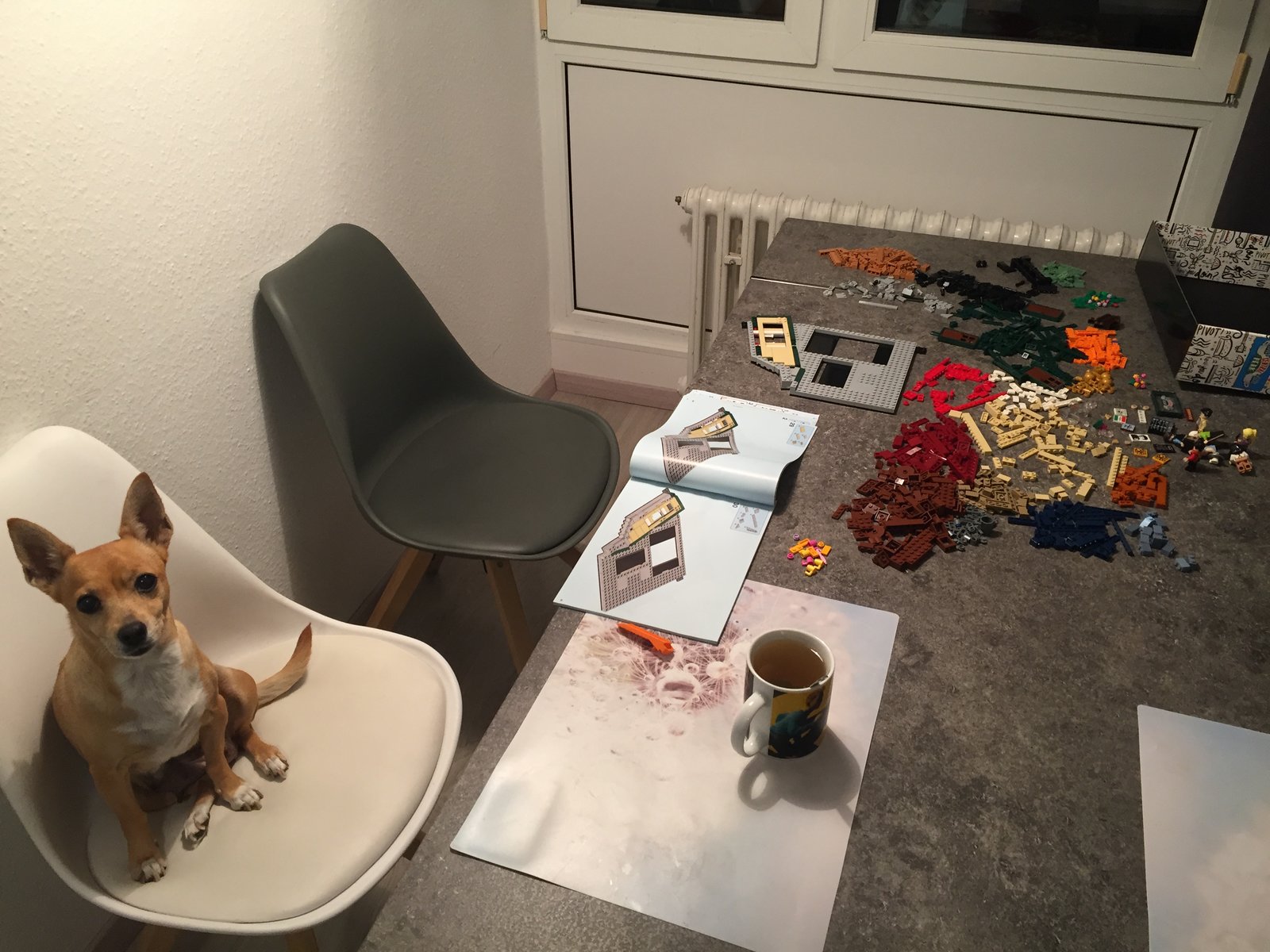 2B48D4AB-28F9-4605-9A13-DE631947BF35.jpeg