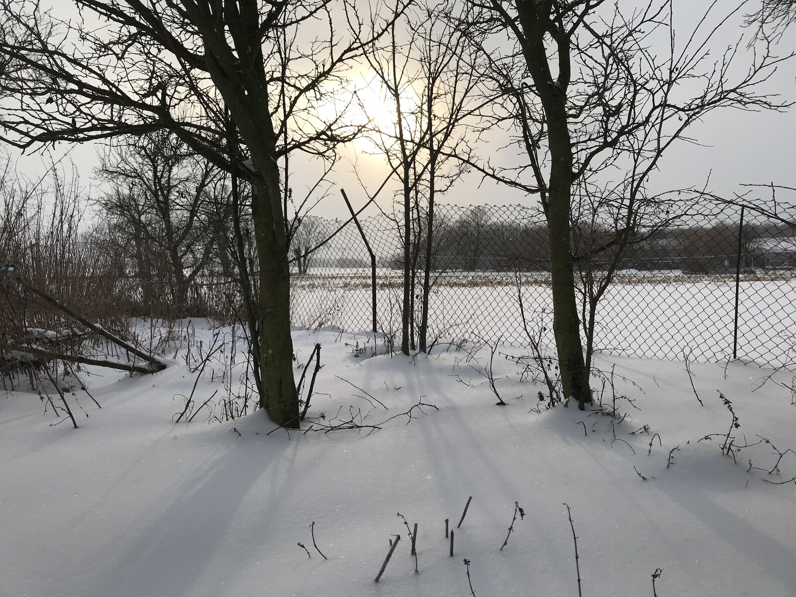 2DAC424A-439D-4D62-AAA1-F4FD7B75B90A.jpeg