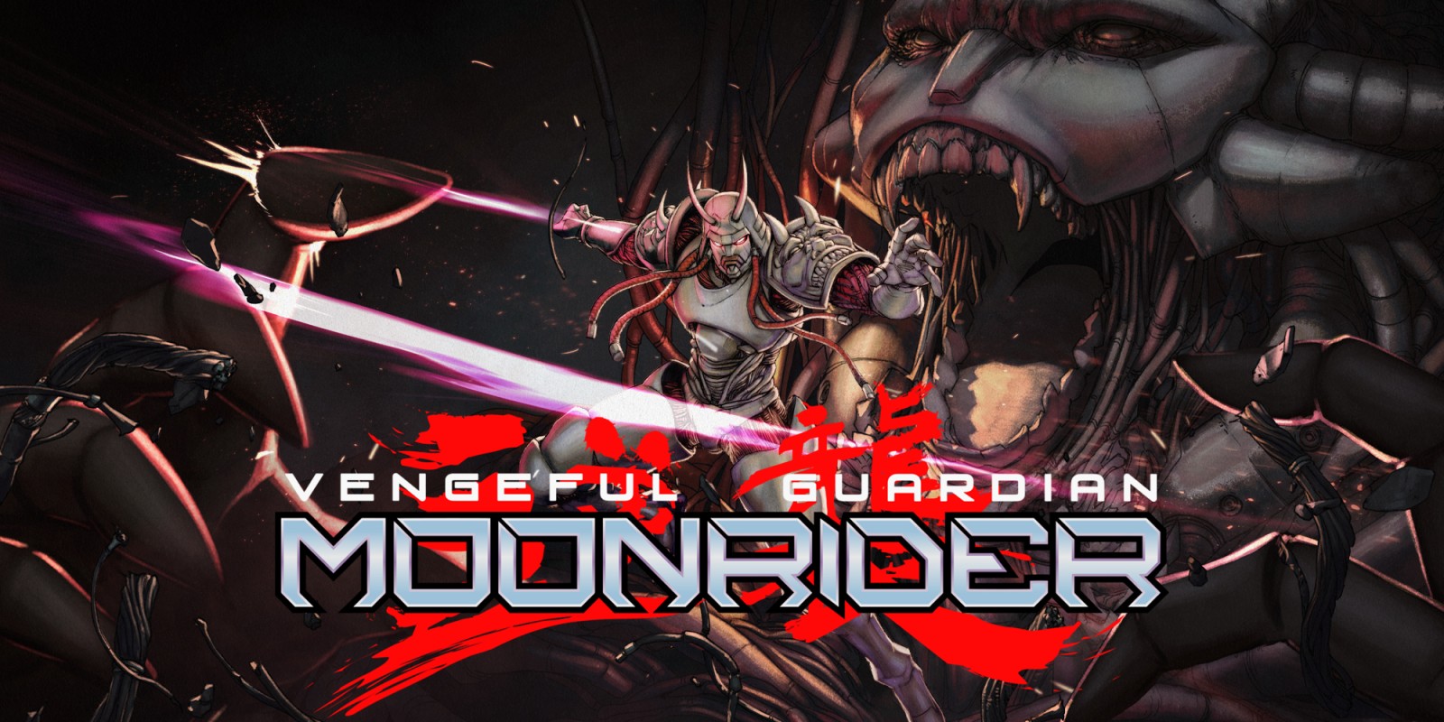 2x1_NSwitchDS_VengefulGuardianMoonrider_image1600w.jpeg