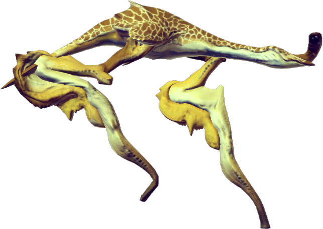 3.png