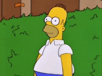 32090D2E-4325-4B34-9AEB-6DC88071768C.gif