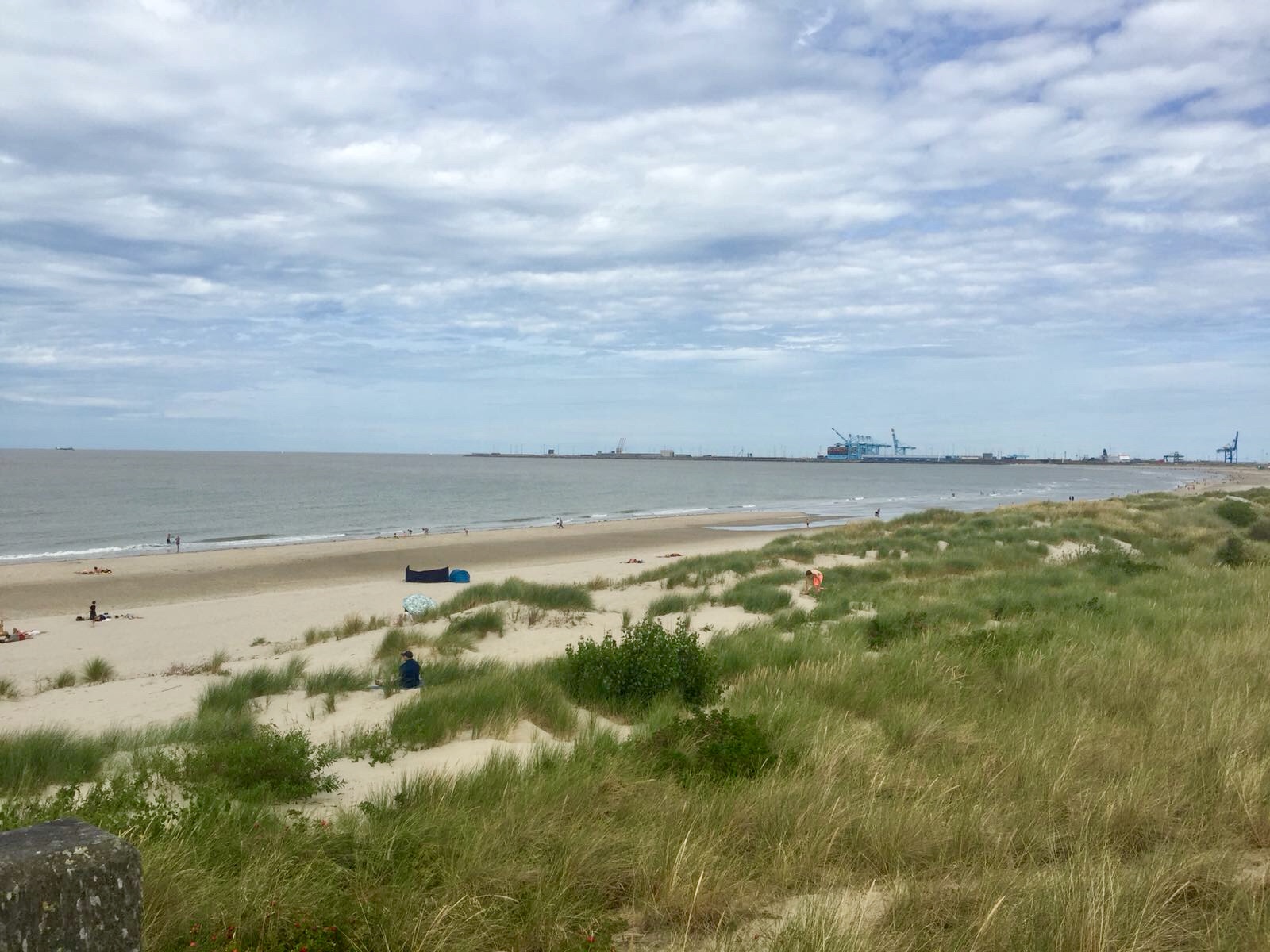 32248980-9a0e-4b9b-b597-636a829f3ed8 (Bearbeitet).jpg