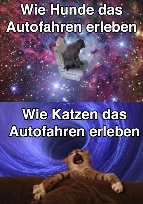 335795_b.jpg