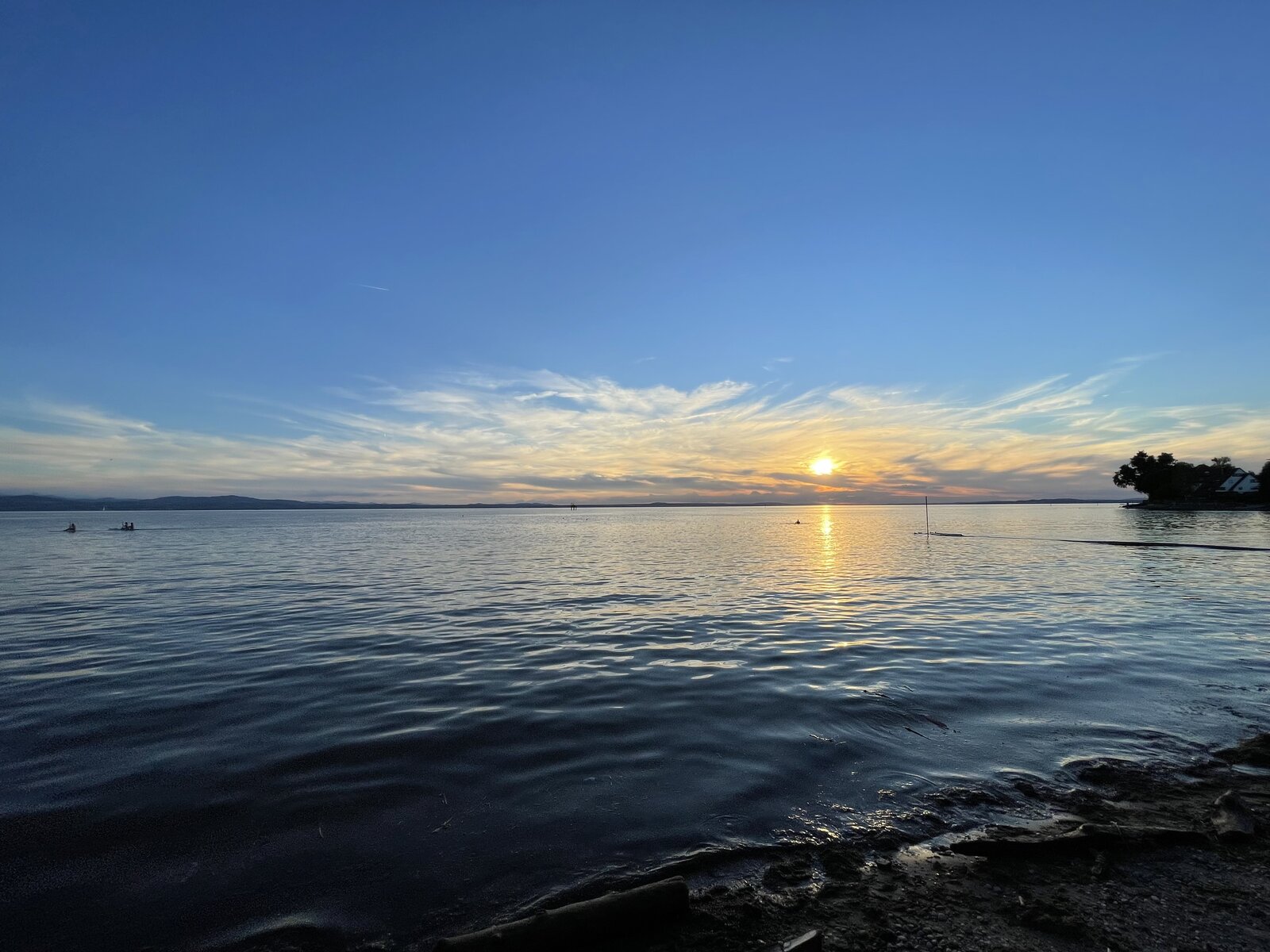360A50E8-80BB-48EB-AE93-E95B3AC98449.jpeg