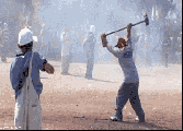 3772496+_6549f1bfd120888fcecc84cb22f4a2e0.gif
