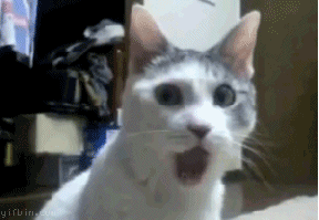 3772501+_bedebd4999ec35b51335073439f36577.gif