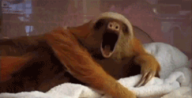 3A0FF870-A72F-4416-9B66-504B7B84A36C.gif