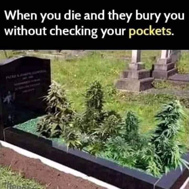 3C010E69-3F97-44F8-9CC7-C3CDBD237A45.jpeg