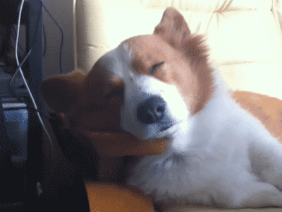 3CE739AA-527B-47A7-8416-AD794A08A01B.gif