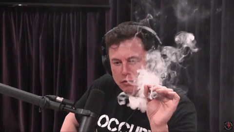 3d2wgrPNcBqocFzFbJ.gif