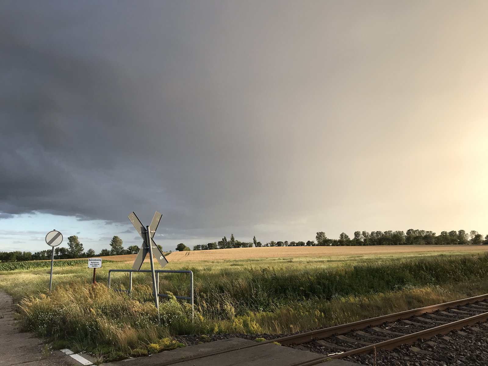43488D8D-D7E8-4C4B-B287-D6D0E25C753F.jpeg