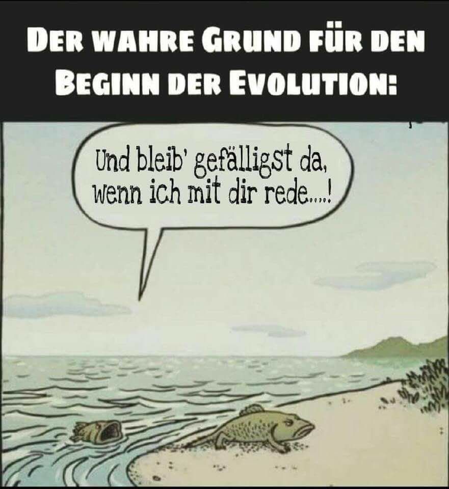 438813191_310755.jpg