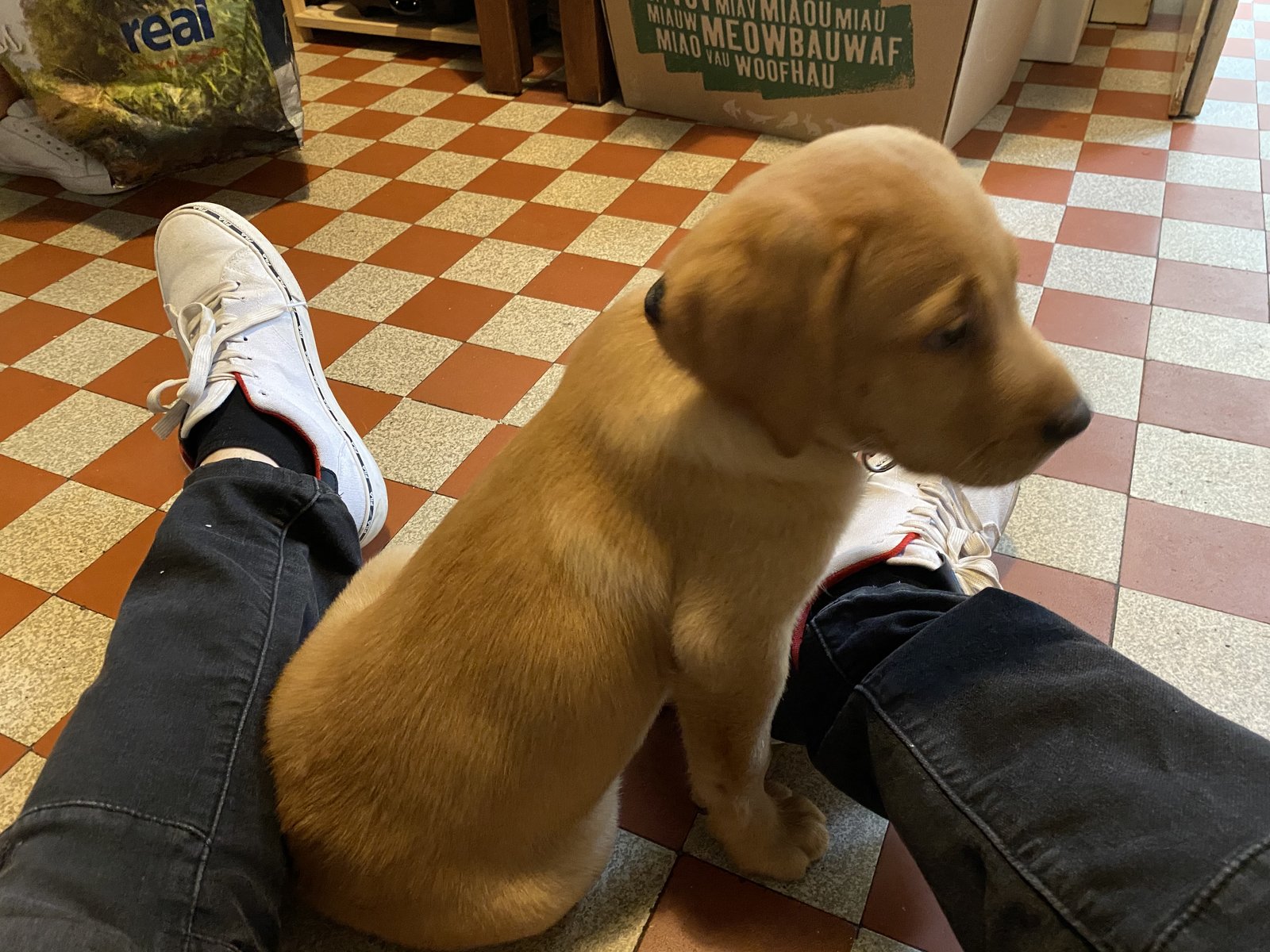 44D02C37-C0E4-495B-86EA-6A5E1778A1F2.jpeg