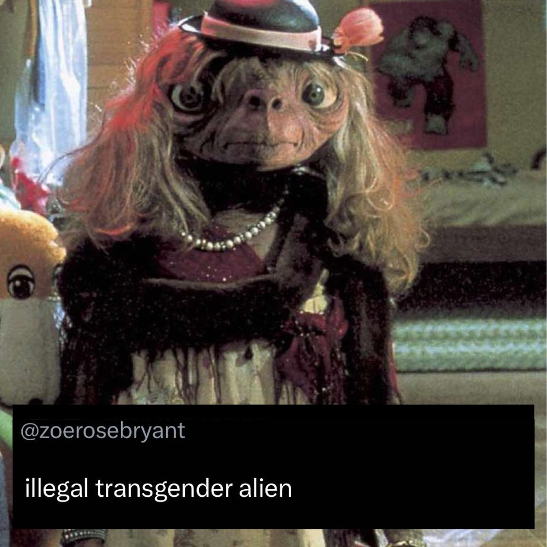 459184608_1032704212234911_5850471907470032480_n.jpg