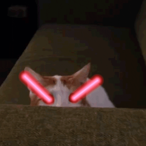 4DD566FB-C26A-4579-B02C-8DC44A0F788A.gif